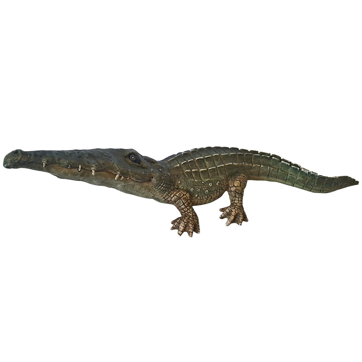 Smiling Crocodile
